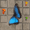 Butterfly Memory Match: Tile Slide Challenge