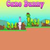 Cano Bunny: The Epic Rabbit Adventure