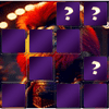 Animal Lion Memory Match Wild Memory Match