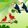 Bird Sort Feathered Harmony